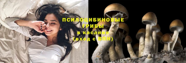 гидра Волосово